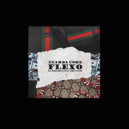 Album cover art for Guarda come flexo