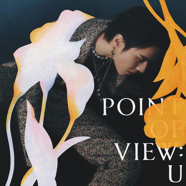 Album cover art for Point of View: U