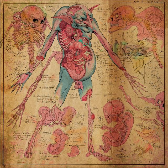 Album cover art for The Fundamental Slimes and Humours