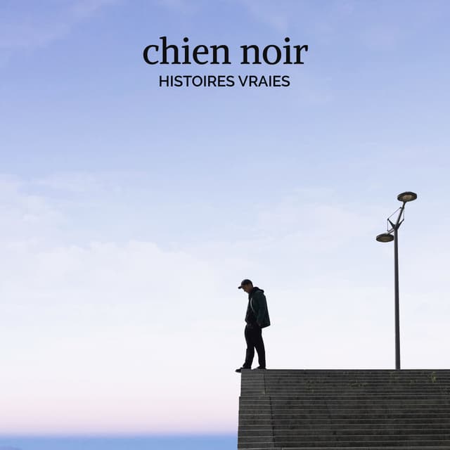 Album cover art for Histoires vraies