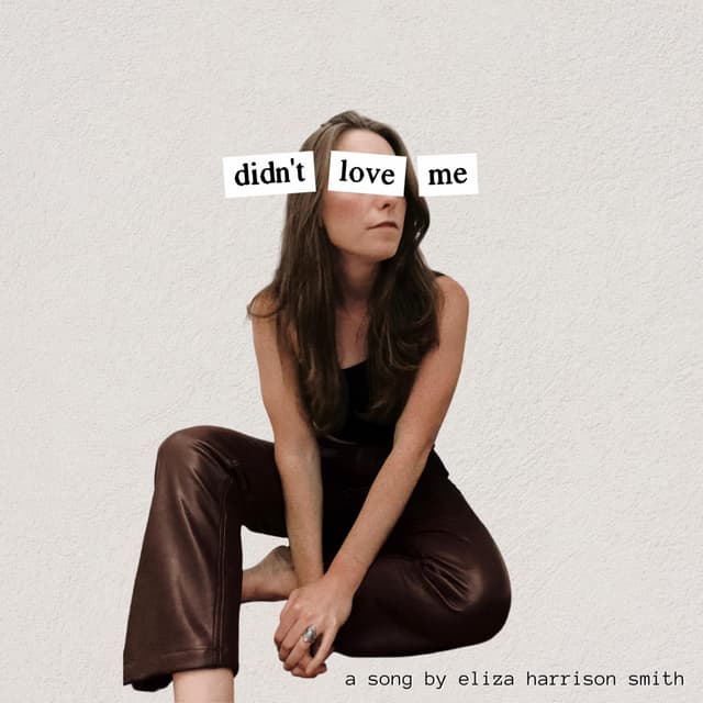 Album cover art for Didn't Love Me