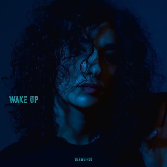 Album cover art for WAKE UP
