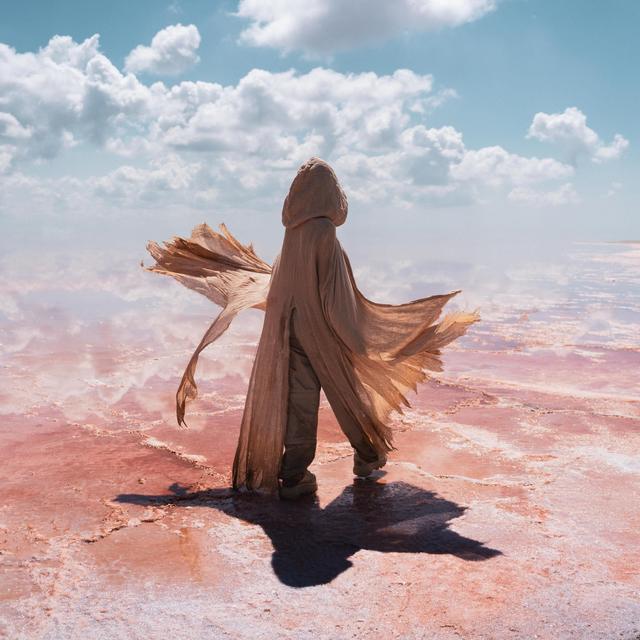 Album cover art for Si tu peux