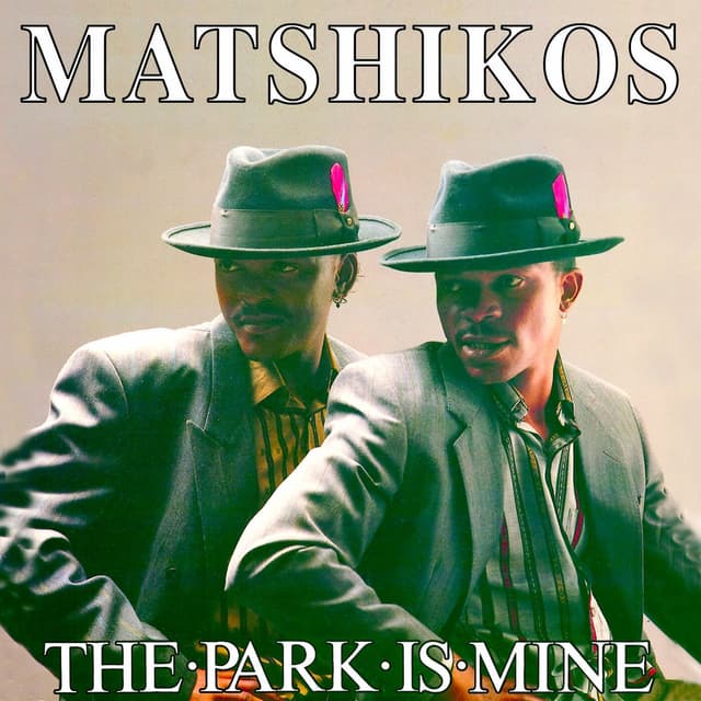 Album cover art for The Park Is Mine