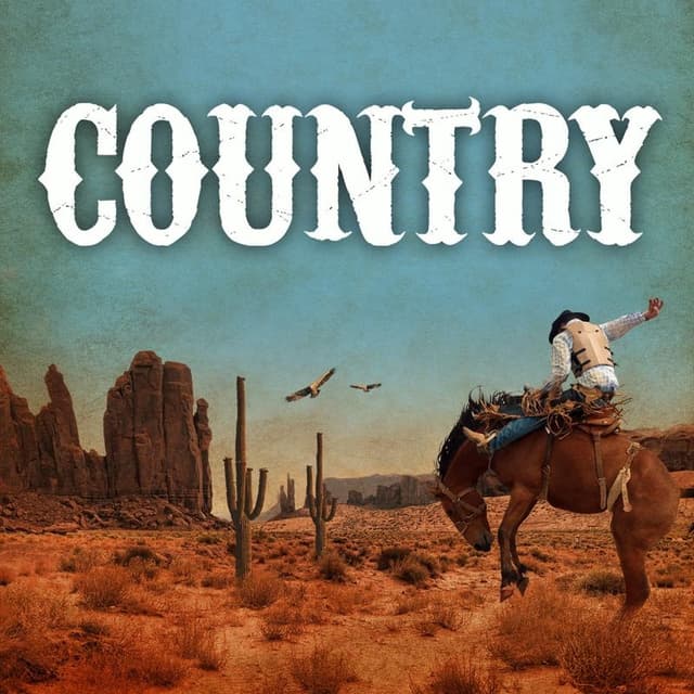 Album cover art for Country