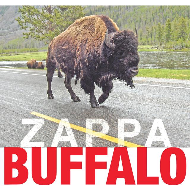 Album cover art for Buffalo