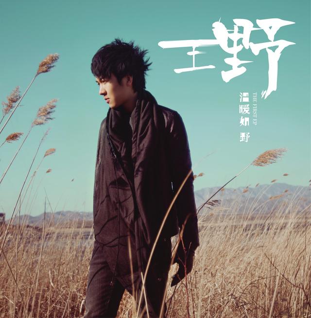 Album cover art for Wen Nuan Ru Ye
