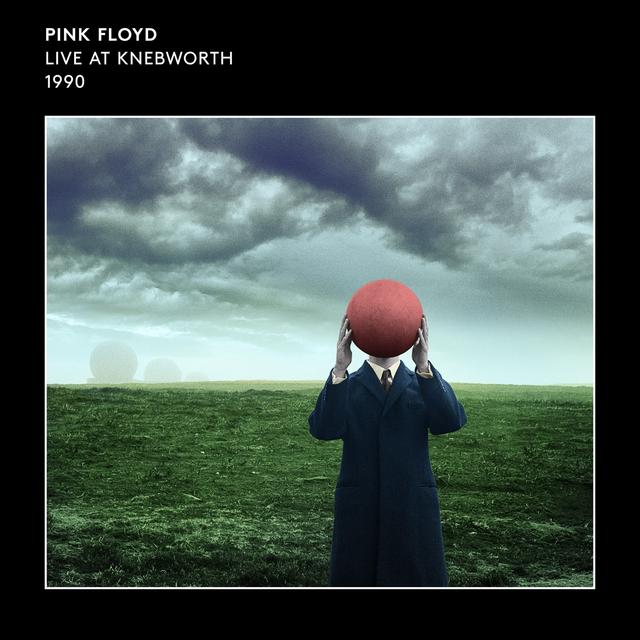 Album cover art for Comfortably Numb