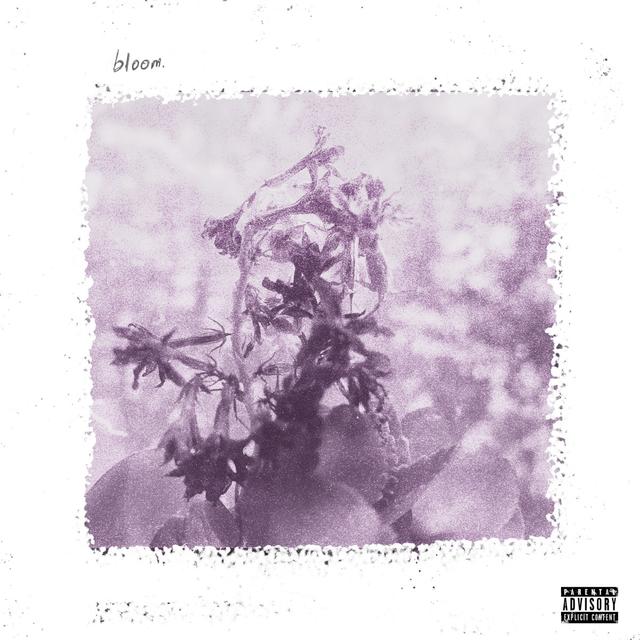 Album cover art for bloom.