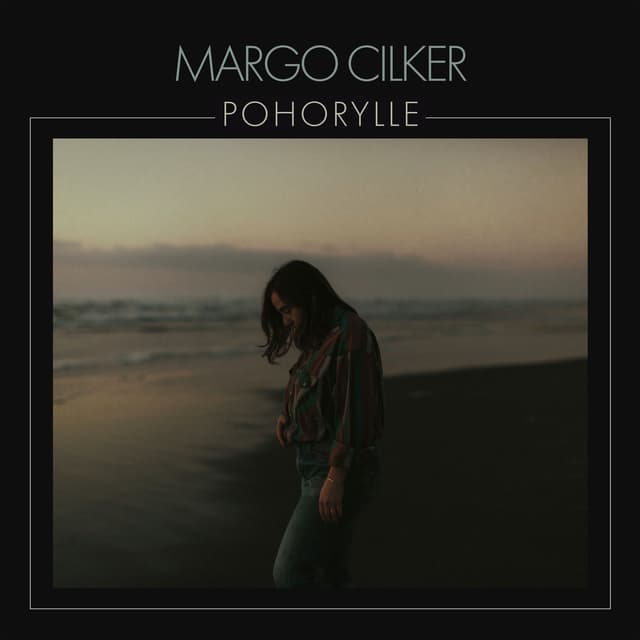 Album cover art for Pohorylle
