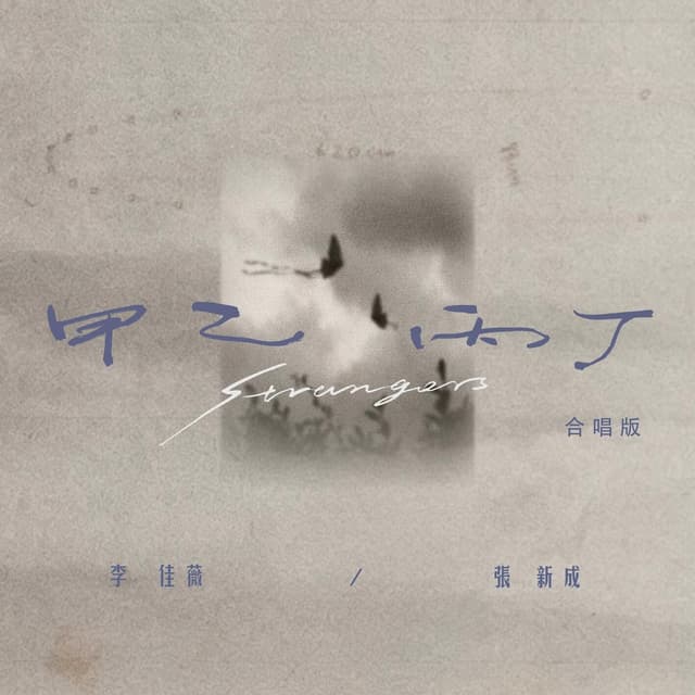 Album cover art for 甲乙丙丁Strangers (合唱版)