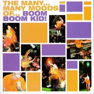 Album cover art for The Many... Many Moods Of...