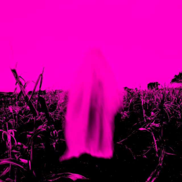 Album cover art for Fantasmas