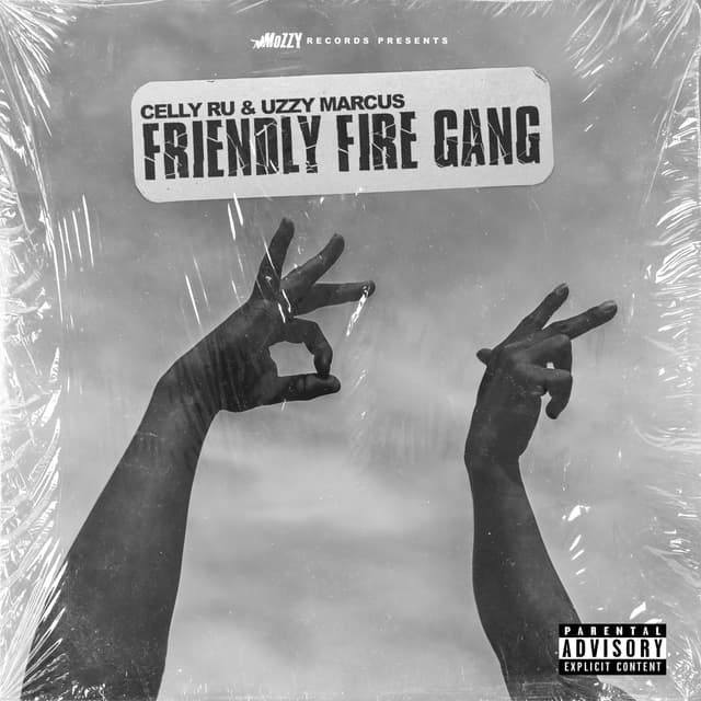 Album cover art for Friendly Fire Gang