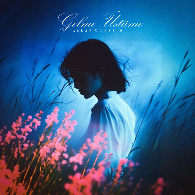 Album cover art for Gelme Üstüme