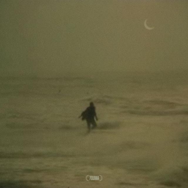 Album cover art for En Sammen