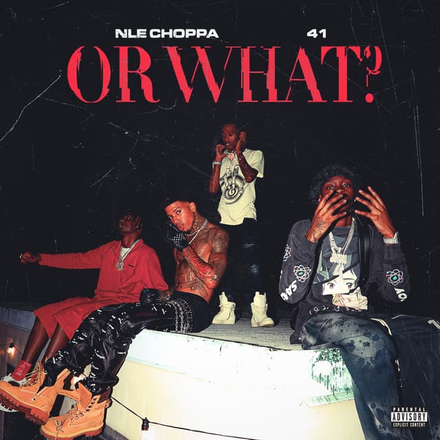 Album cover art for Or What