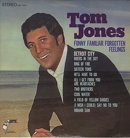 Album cover art for Funny Familiar Forgotten Feelings