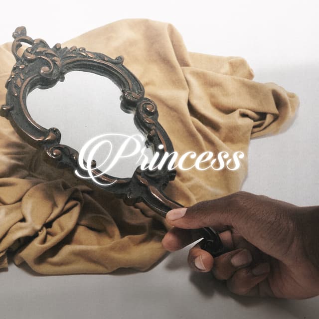 Album cover art for Princess