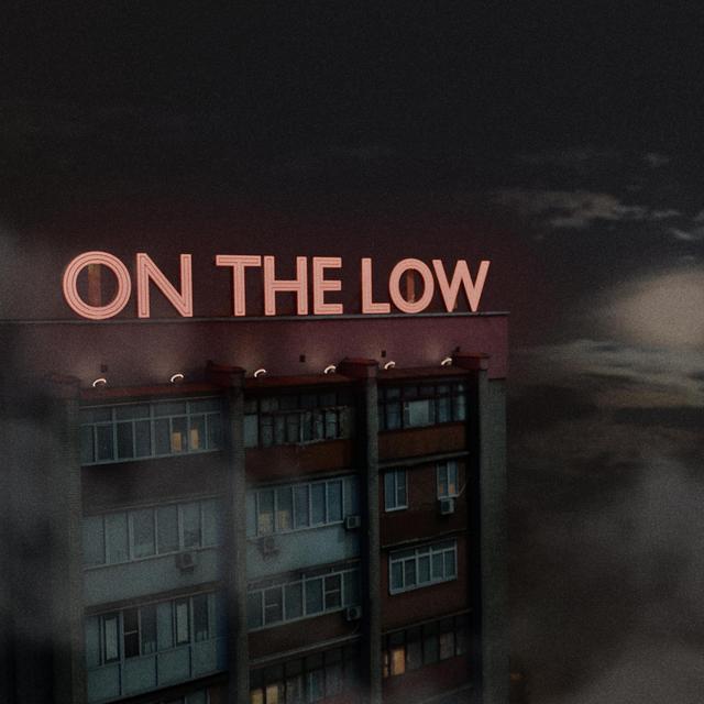 Album cover art for On The Low