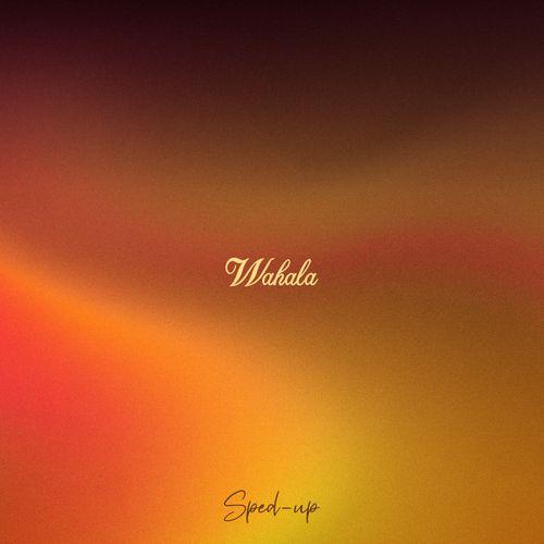 Wahala (CKay feat. Olamide) [Sped Up Version]