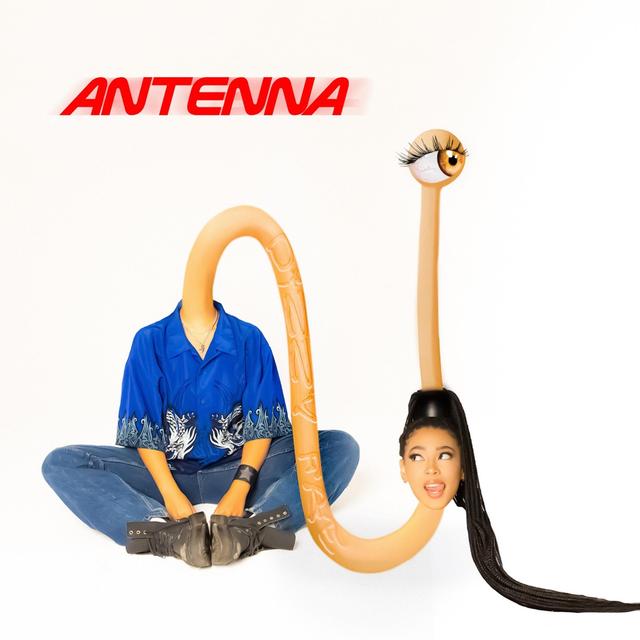 Album cover art for Antenna