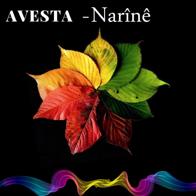 Album cover art for NARİNÊ