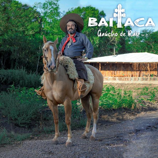 Album cover art for Gaúcho de Raiz, Vol. 19
