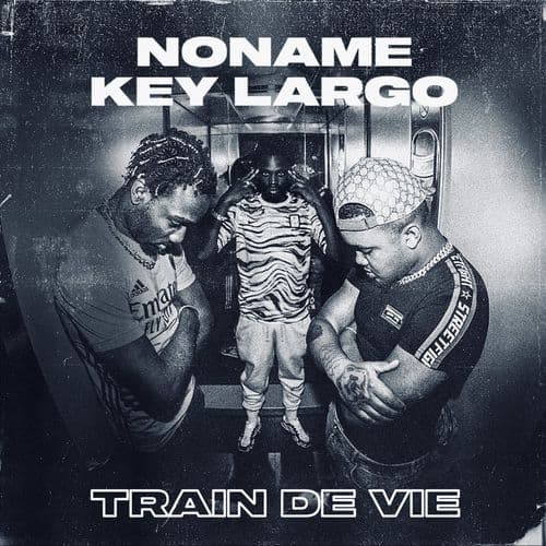 Album cover art for Train de vie