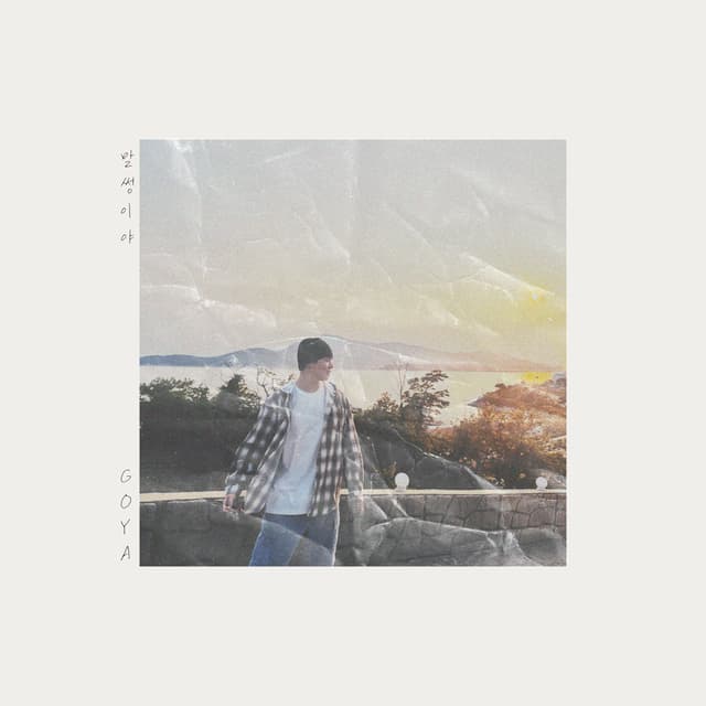 Album cover art for SILLY