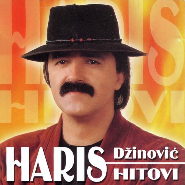 Album cover art for Hitovi