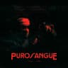 Purosangue