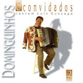 Album cover art for Dominguinhos e Convidados Cantam Luiz Gonzaga, Vol. 2