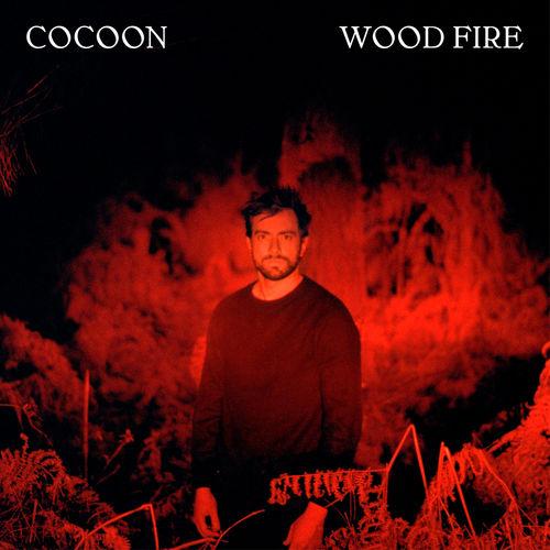 Album cover art for Wood Fire