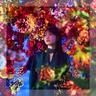 百花繚乱 (In Bloom)