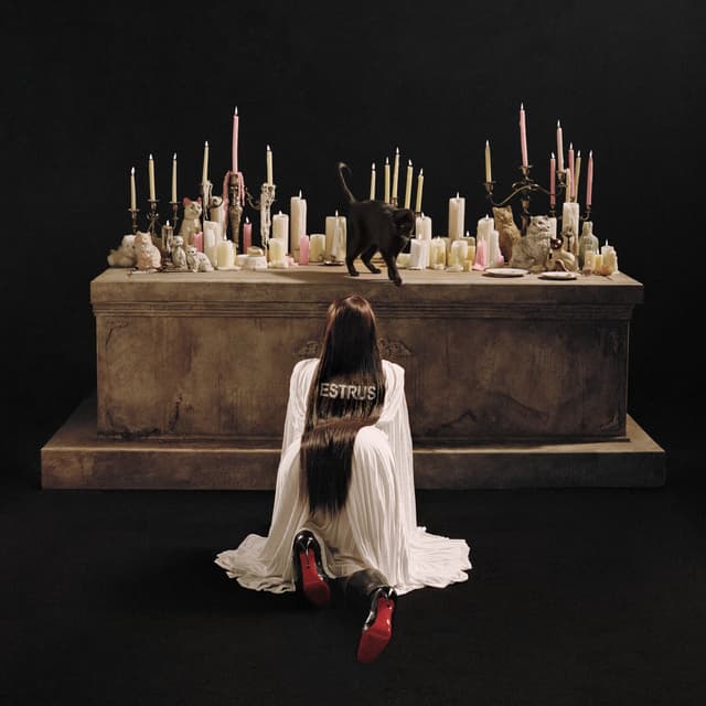 Album cover art for DNH
