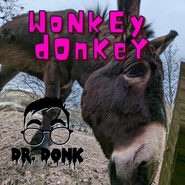 Album cover art for Wonkey Donkey
