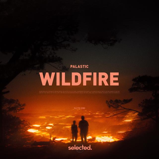 Album cover art for Wildfire