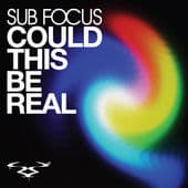 Album cover art for Could This Be Real