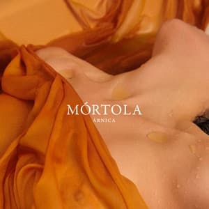 Album cover art for Árnica