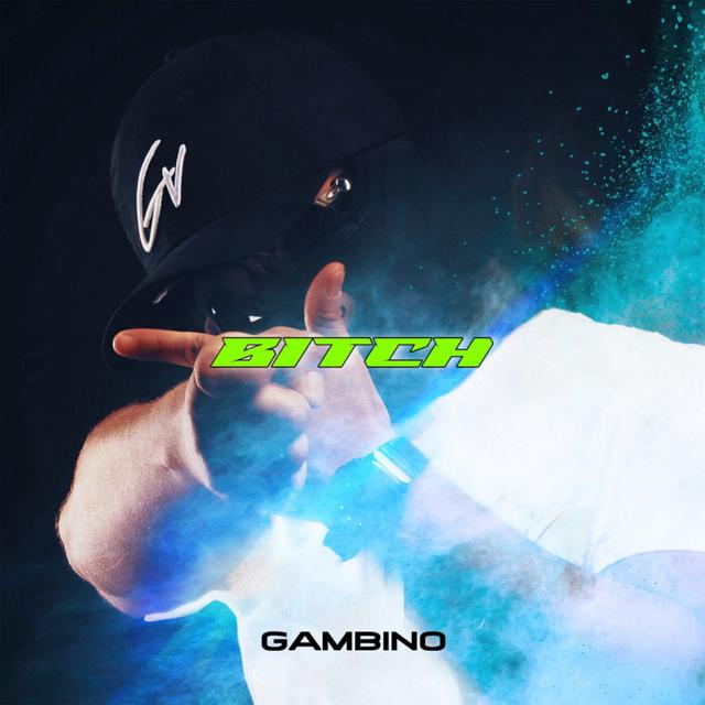 Album cover art for Bitch