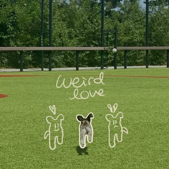 Album cover art for Weird Love