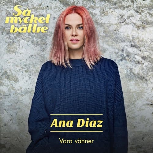 Album cover art for Vara vänner