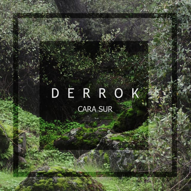 Album cover art for Cara Sur