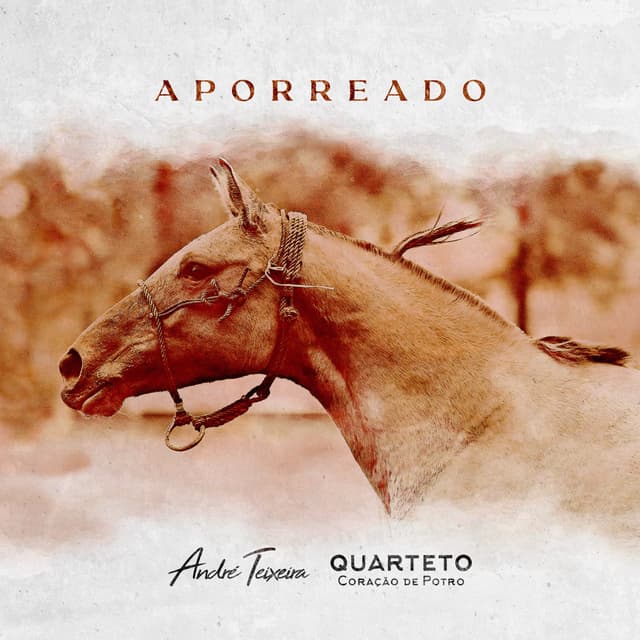 Album cover art for Aporreado