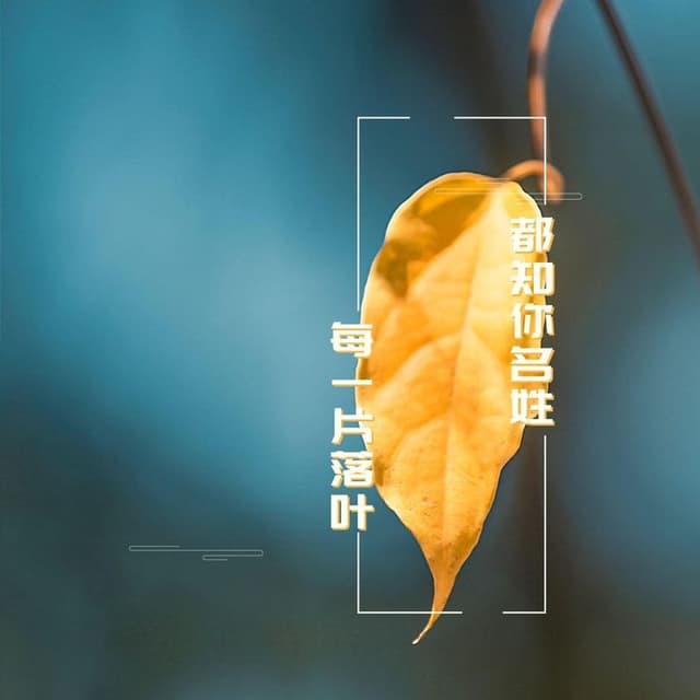 Album cover art for 每一片落叶都知你名姓