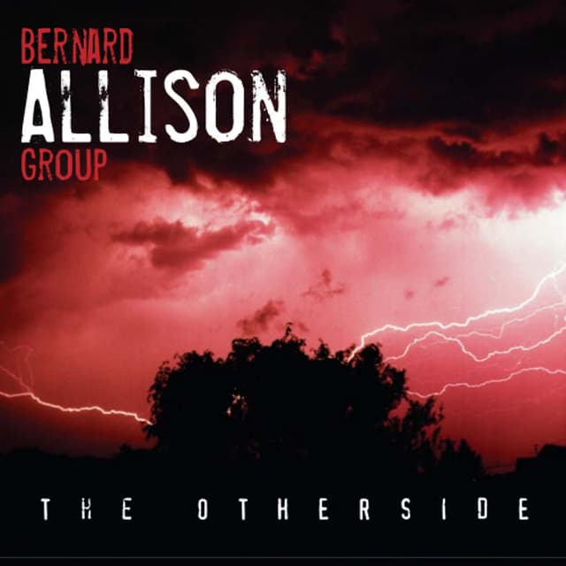 Album cover art for The Otherside