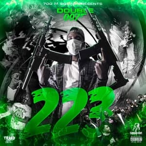 Album cover art for 223