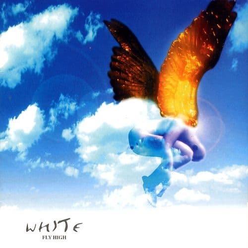 Album cover art for Fly High