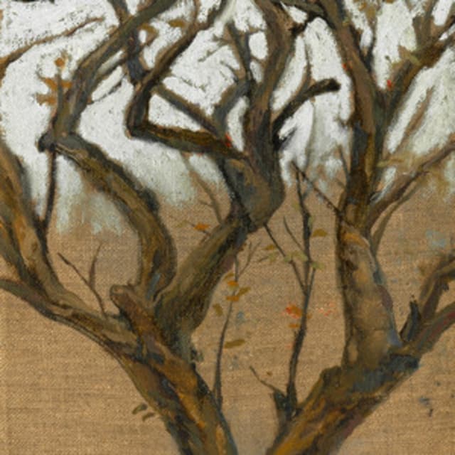 Album cover art for Mong Manh